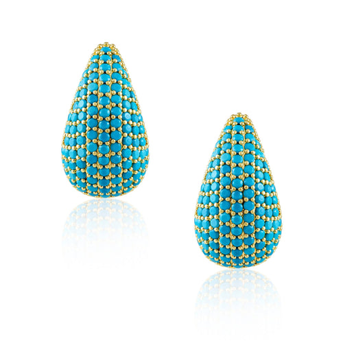 Celine CZ Raindrop Earring: Silver - Racquesh