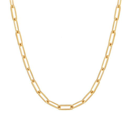 Large Paperclip Link Necklace - Racquesh